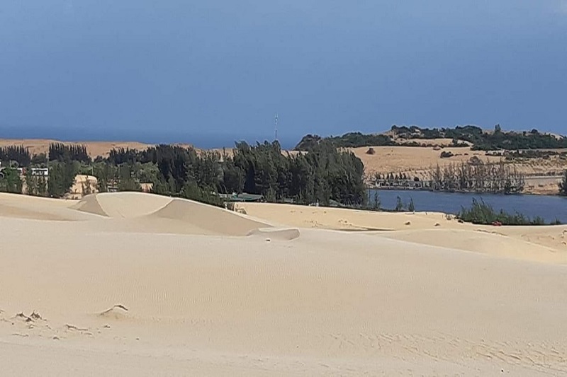 Ảnh slide minh họa 6